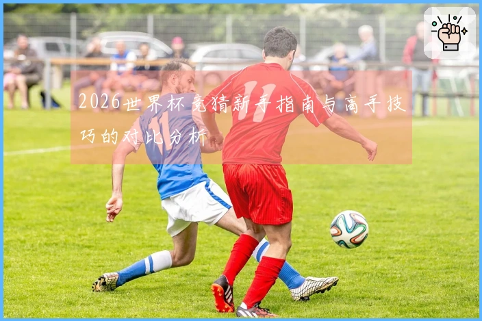 2026世界杯竞猜新手指南与高手技巧的对比分析