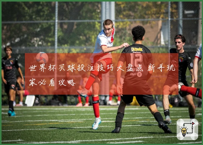 世界杯买球投注技巧大盘点 新手玩家必看攻略