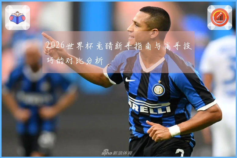 2026世界杯竞猜新手指南与高手技巧的对比分析