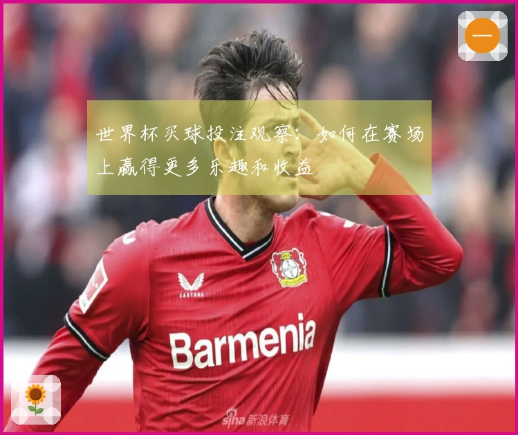 世界杯买球投注观察：如何在赛场上赢得更多乐趣和收益