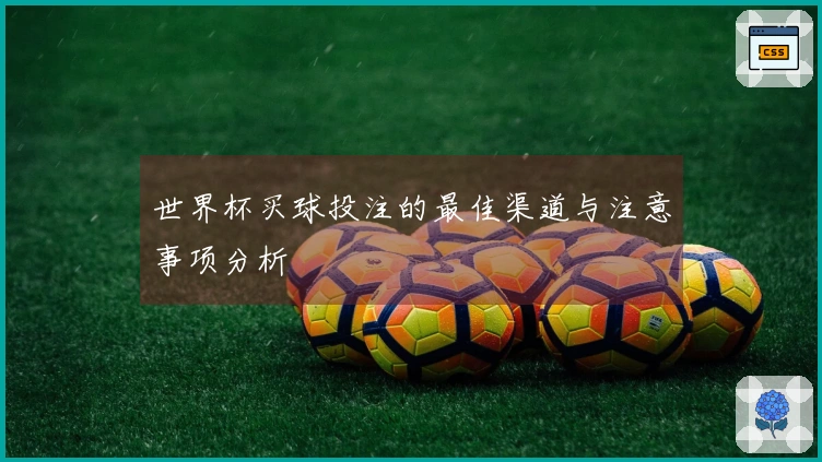 世界杯买球投注的最佳渠道与注意事项分析