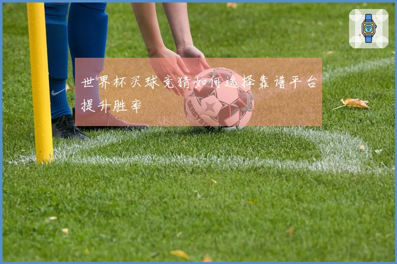世界杯买球竞猜如何选择靠谱平台提升胜率