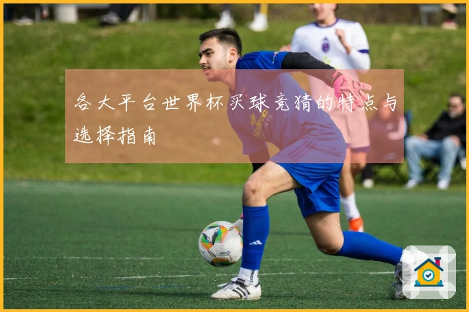 各大平台世界杯买球竞猜的特点与选择指南